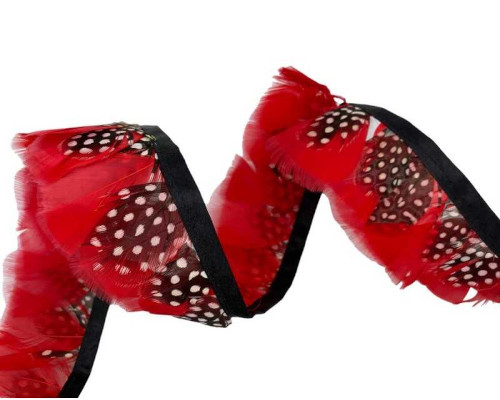 Gyöngytyúktoll rojt